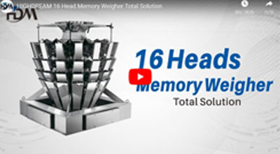 Soluciónnitoctionde la escala de Memoria de 16 Cabezas de Highream